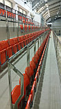 Кресло складывающееся пластиковое для спортивных сооружений «Форвард 03, фото 8
