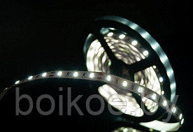 Светодиодная лента BLS2835-120-12-9.6-W (120 LED/м, 9.6W, 12V, IP20) - фото 1 - id-p111582996