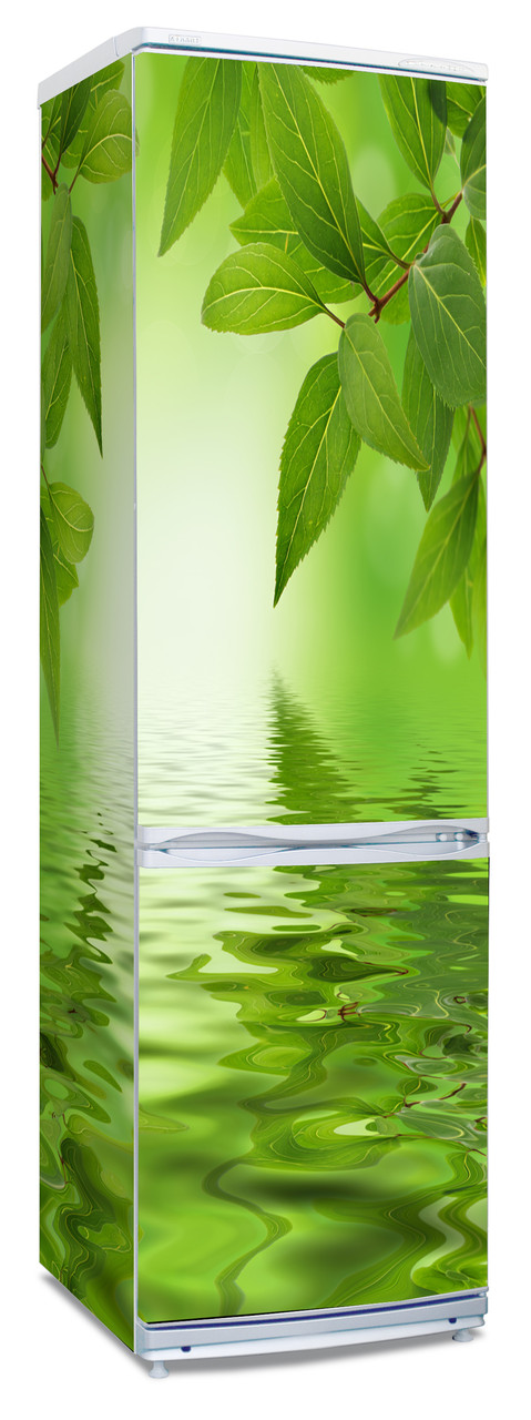 Виниловая наклейка на холодильник светло-зеленая, природа - фото 1 - id-p6395402