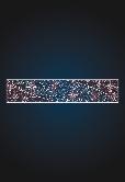 Перетяжка новогодняя Полярисы в небе - фото 1 - id-p110710008