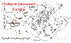 8.8976  Ниппель (фитинг) ЯМЗ Евро-3, фото 3