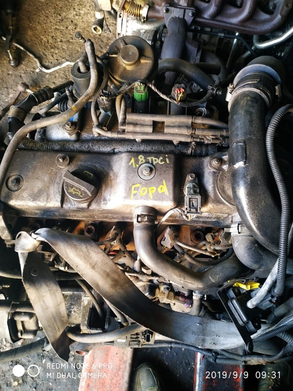 3-40_2 - Двигатель Ford FOCUS II - фото 4 - id-p111782020