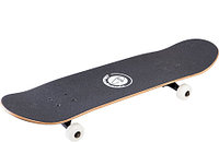 Скейтборд Sandfish, 31"x8", ABEC-7 FISH TLS-3108CA-SA