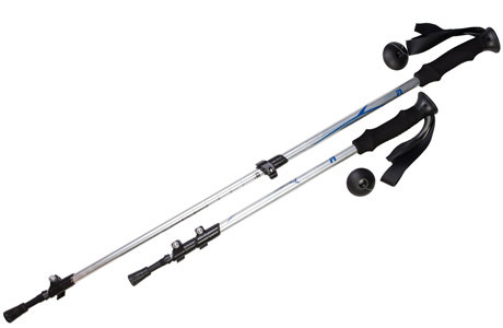 Палки для скандинавской ходьбы, телескоп., длина 65-135 см (серебр.) FORA XG-02 - фото 1 - id-p111779894