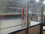 Хоккейный  корт из  полиэтилена с прозрачным ограждением 30/60, фото 8