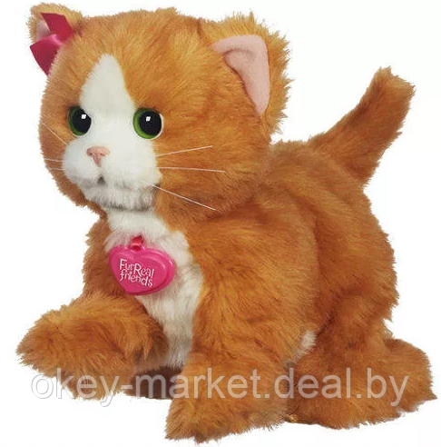 Интерактивный Котенок Дэйзи Hasbro FurReal Friends A2003 - фото 2 - id-p111805495