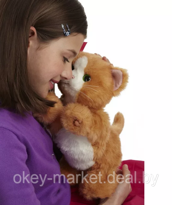 Интерактивный Котенок Дэйзи Hasbro FurReal Friends A2003 - фото 6 - id-p111805495