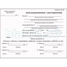 Командировочное удостоверение с авансовым отчетом