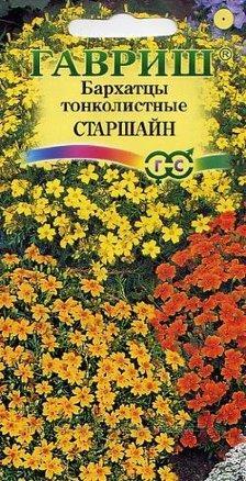 Бархатцы тонколистные (тагетес) Старшайн, смесь (0,05г)