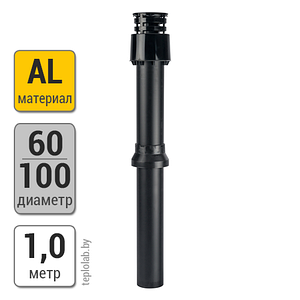 Труба вертикальная Stout DN 60/100, 1 м