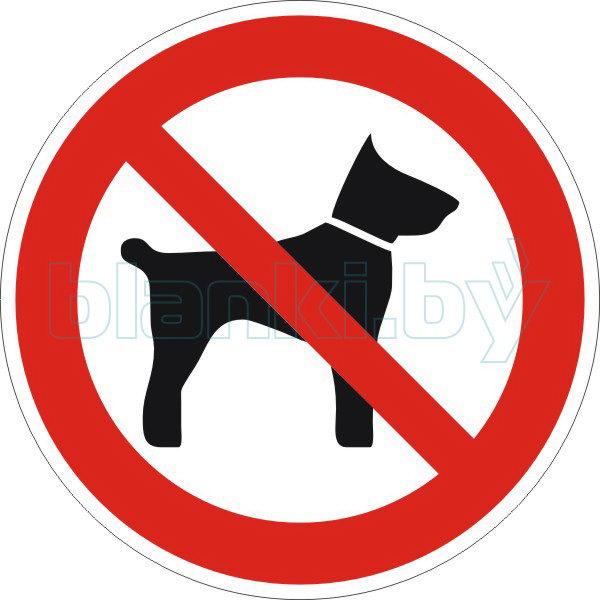 Знак Запрещается вход (проход) с животными - фото 1 - id-p111199997