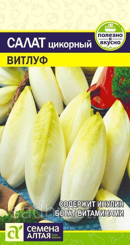 Семена Салат Цикорий Витлуф (0,5 гр)