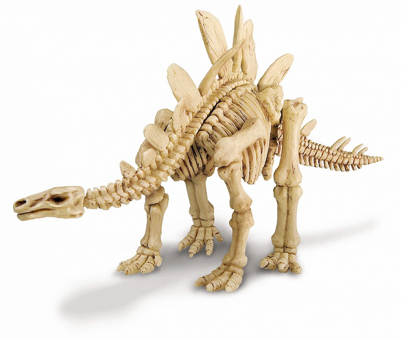 Скелет Стегозавра (4M - Исследования) - фото 3 - id-p112119295