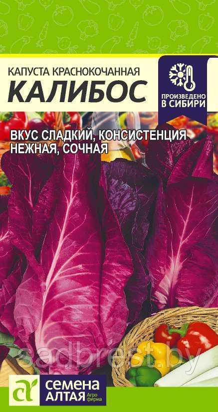 Семена Капуста краснокочанная Калибос (0,3 гр)