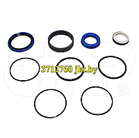 3712760 гидравлические уплотнения Seal Kits for Skid Loaders