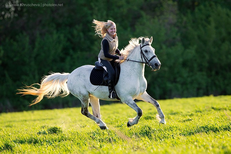 Проскачу на коне. Девушка верхом на лошади. Лошадь скачет. Девушка катается на лошади. Девушка скачет на лошади.