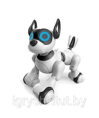 Робот-собака на РУ, светозвуковые эффекты, работает от АКБ, арт.20173-1 - фото 1 - id-p112289800