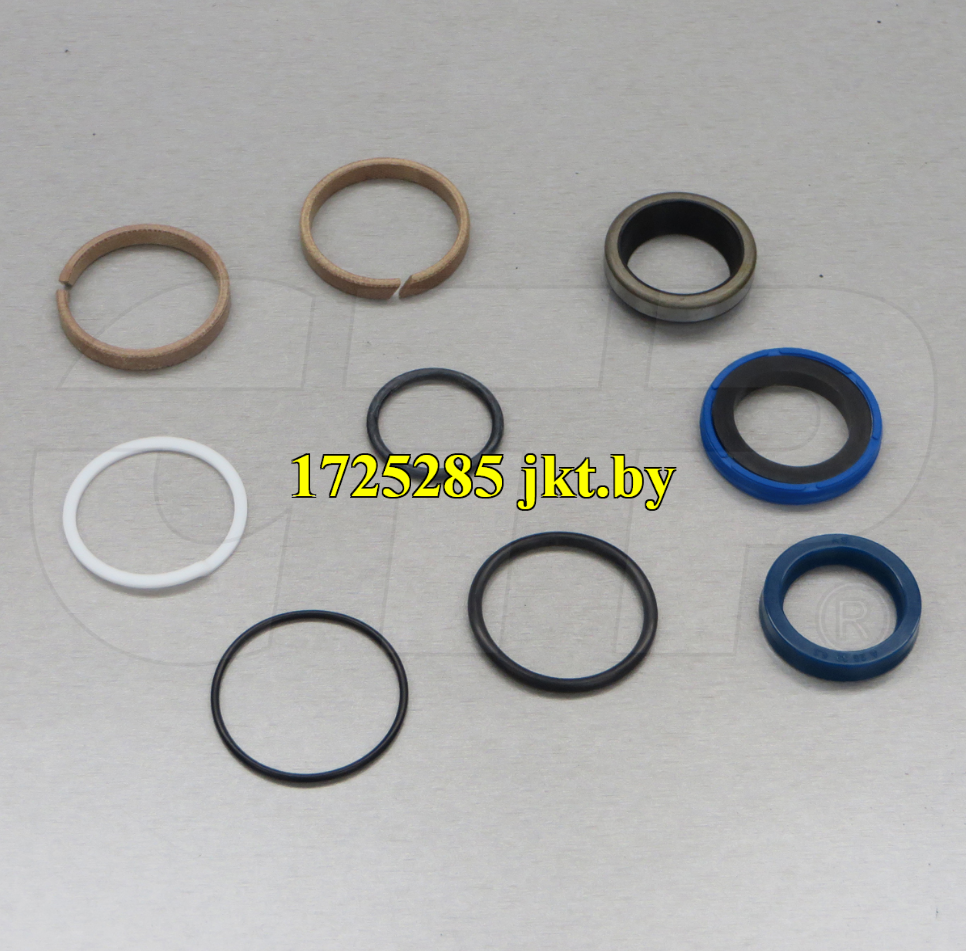 1725285 гидравлические уплотнения Seal Kits for Skid Loaders - фото 1 - id-p108029944
