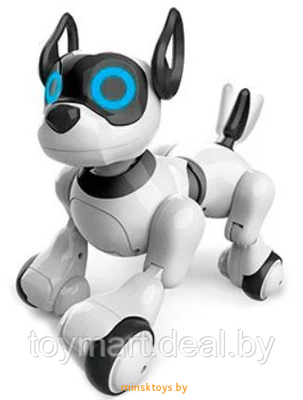 Собака-робот интерактивная Koddy, игрушка на пульте управления, JZL 20173-1