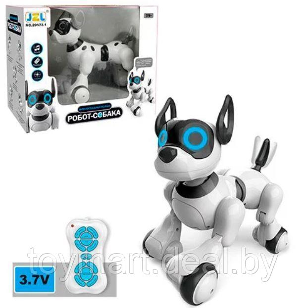Собака-робот интерактивная Koddy, игрушка на пульте управления, JZL 20173-1 - фото 7 - id-p112328109