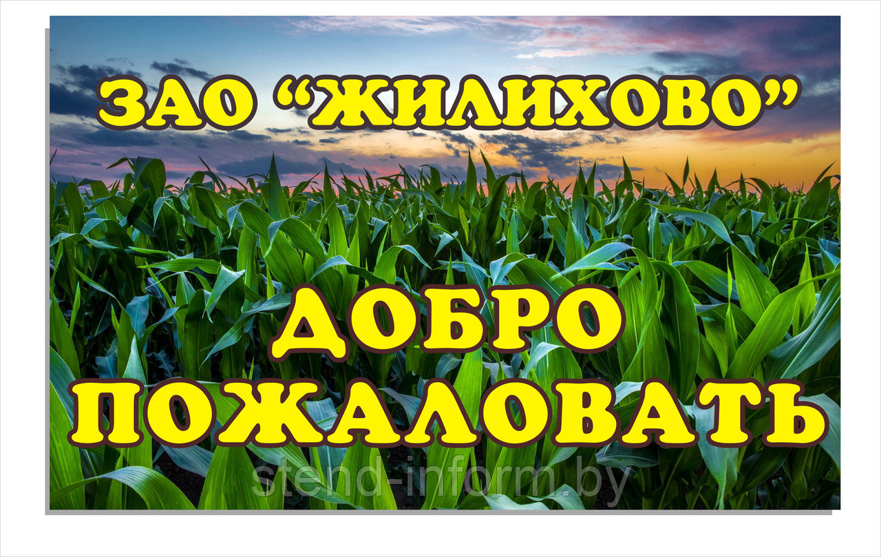Вывеска на организацию "Добро пожаловать" р-р 80*50 см
