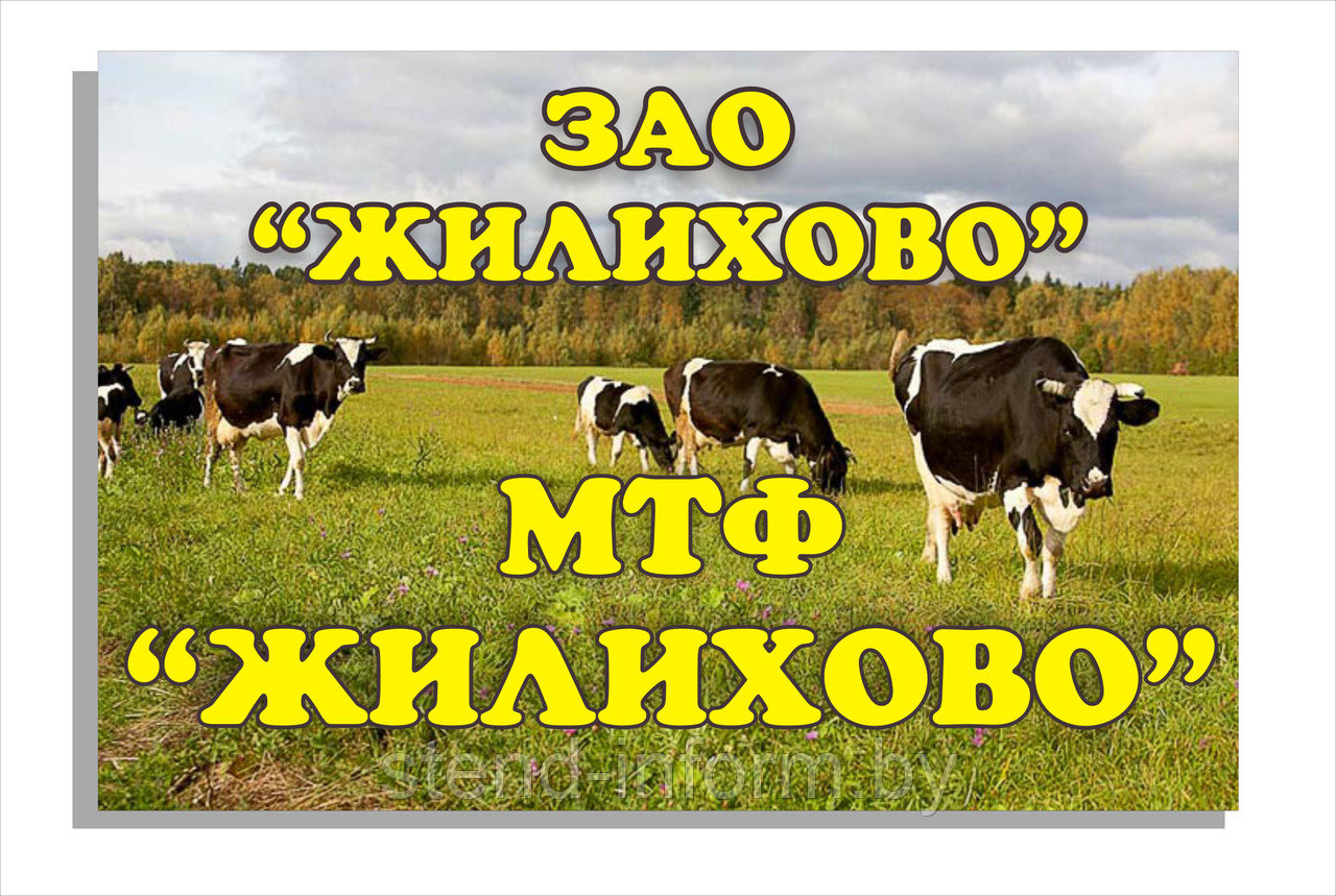 Вывеска на организацию "Название организации" р-р 70*50 см