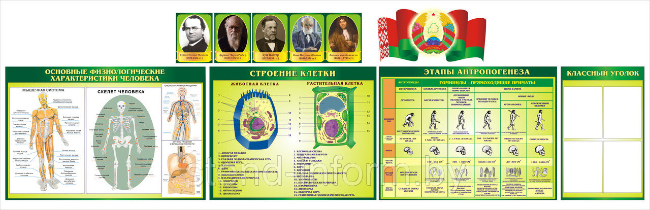 Набор стендов и портретов  в кабинет Биологии  в изумрудном цвете, р-р 350* 100 см