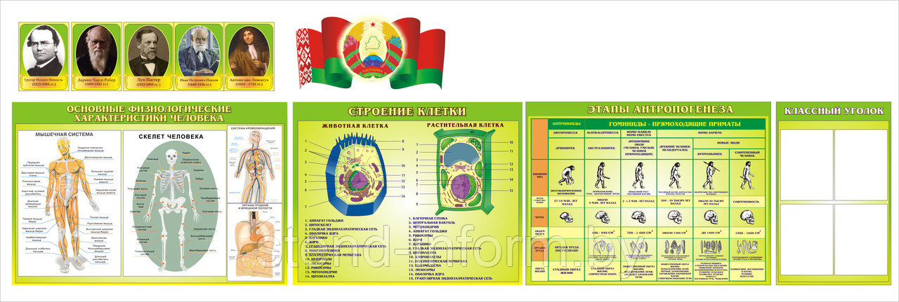 Набор стендов и портретов  в кабинет Биологии  в салатовом цвете, р-р 350* 100 см