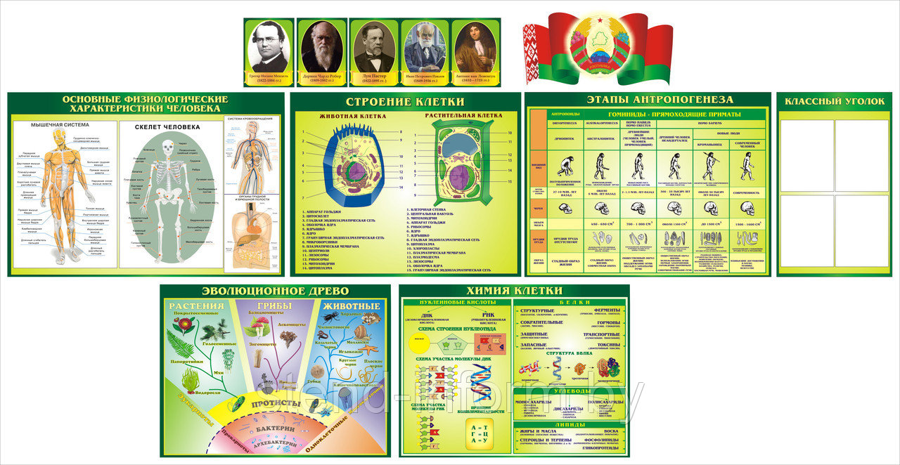 Набор стендов и портретов в кабинет Биологии в изумрудном цвете, р-р 380*180 см - фото 1 - id-p112403684