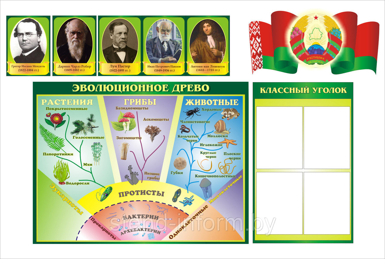 Набор стендов и портретов в кабинет Биологии  в изумрудном цвете, р-р 200*100 см