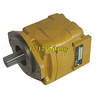 1371296 гидравлический насос Hydraulic Pumps ,Gear Pumps