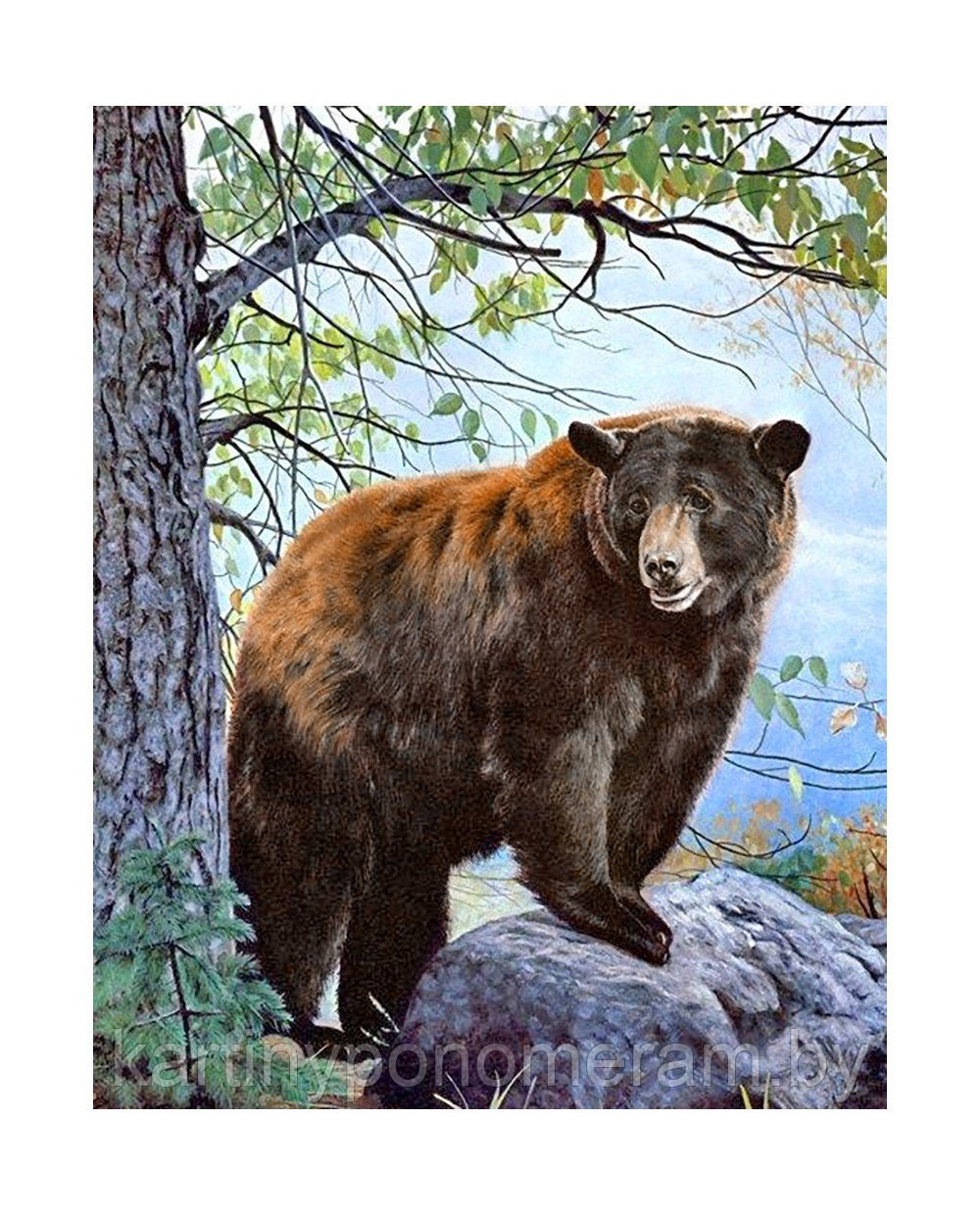 Алмазная вышивка Бурый медведь - фото 1 - id-p112592141