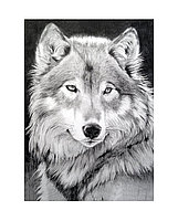 Алмазная вышивка Серый волк
