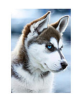 Алмазная вышивка Снежный пес
