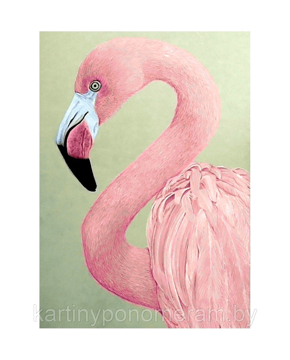 Алмазная вышивка Розовый фламинго - фото 1 - id-p112592251