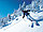 Индивидуальное занятие с инструктором по горным лыжам, фото 2