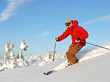 Индивидуальное занятие с инструктором по горным лыжам, фото 3