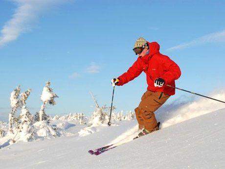 Индивидуальное занятие с инструктором по горным лыжам - фото 3 - id-p69813691