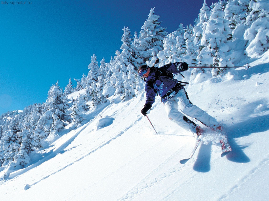 Занятие с инструктором по горным лыжам - фото 2 - id-p6521756
