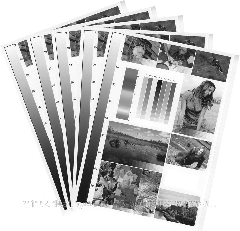 89.488 Size collection Gambar, Foto Stok & Vektor Shutterstock