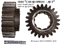 Шестерня 240.30.11.00.003 Z=19