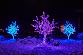 Светодиодное дерево "Баухиния",1152LED, 2.5х1.8, синие светодиоды,  понижающий трансформатор