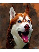 Рисование по номерам "Голубоглазая собака" картина