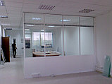 Офисная перегородка стекло, Песочный, фото 5