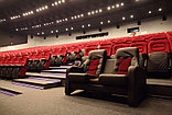 Кресло для кинотеатра , конференцзала,стадиона «ROMA PV»,, фото 10