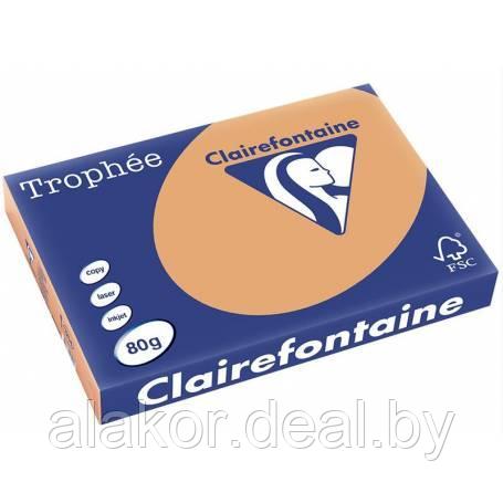 Бумага цветная "Trophée", А4, 80г/м2, 500л., пастель, абрикосовый - фото 1 - id-p112963954