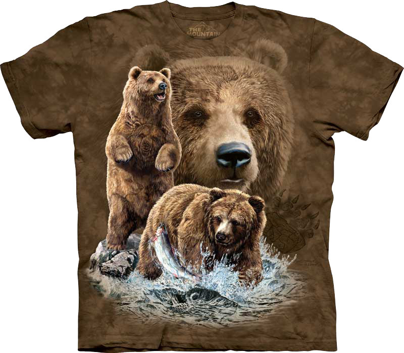 10 медведей 3d футболки the mountain