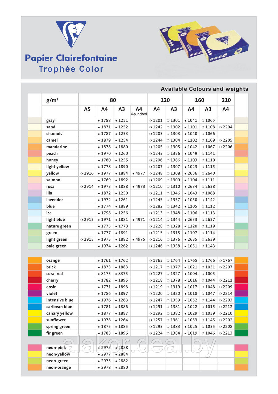 Бумага цветная "Trophée", А4, 160 г/м2, 250л., пастель, светло-голубой - фото 2 - id-p112985299