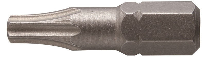 Биты TORX 20, 25 мм, сталь S2, 2 шт. HOEGERT HT1S363