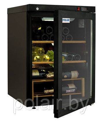 Холодильный шкаф DW102-Bravo POLAIR, фото 2